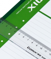 齊心B3251塑料透明直尺30cm*20