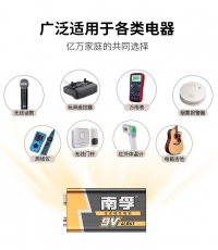 南孚9VA-1B電池*20