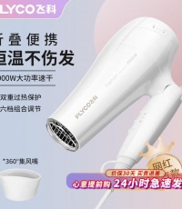 飛科FH6232電吹風(fēng)