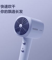 飛科FH6358/6356電吹風(fēng)
